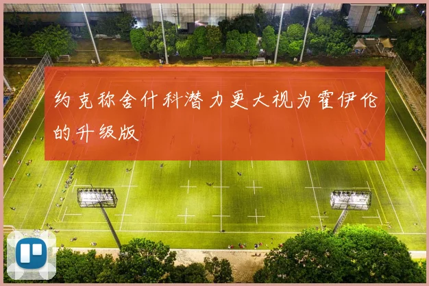 约克称舍什科潜力更大视为霍伊伦的升级版