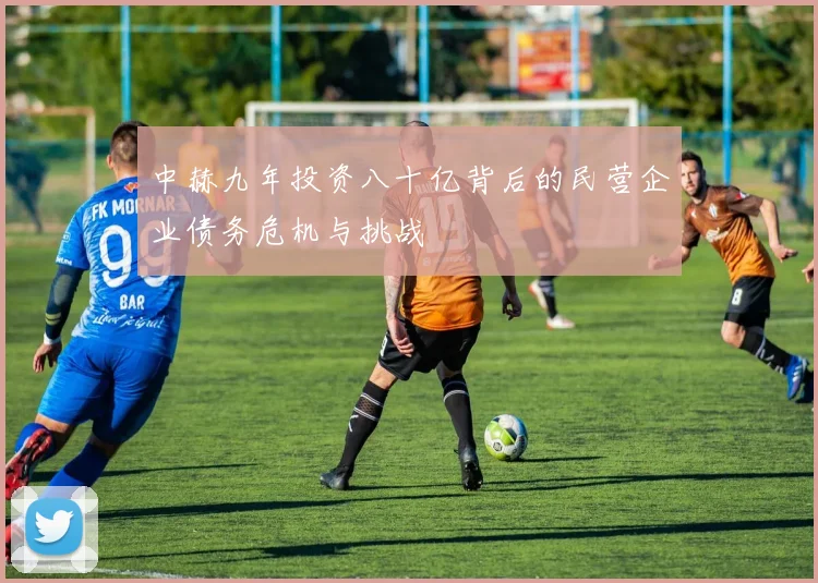 中赫九年投资八十亿背后的民营企业债务危机与挑战