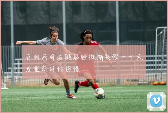 普利西奇右腿筋轻微撕裂预计十天后重新评估伤情