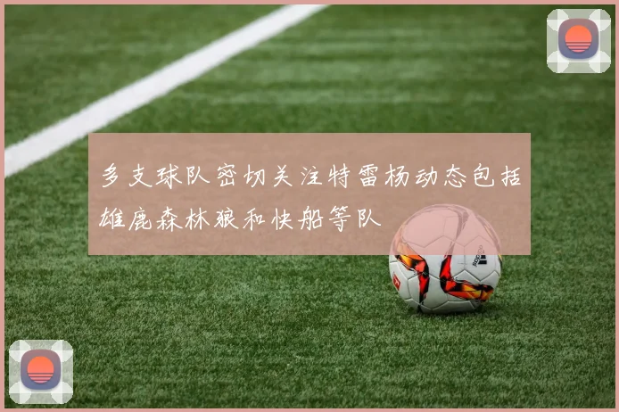 多支球队密切关注特雷杨动态包括雄鹿森林狼和快船等队