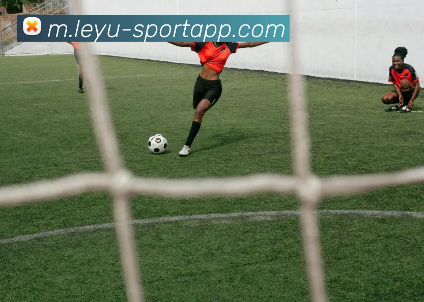 乐鱼体育平台生态图