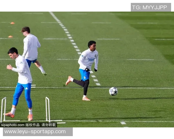 加斯佩里尼批评意大利足球对禁区倒地犯规的过度敏感现象